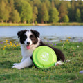 Dogsetshop